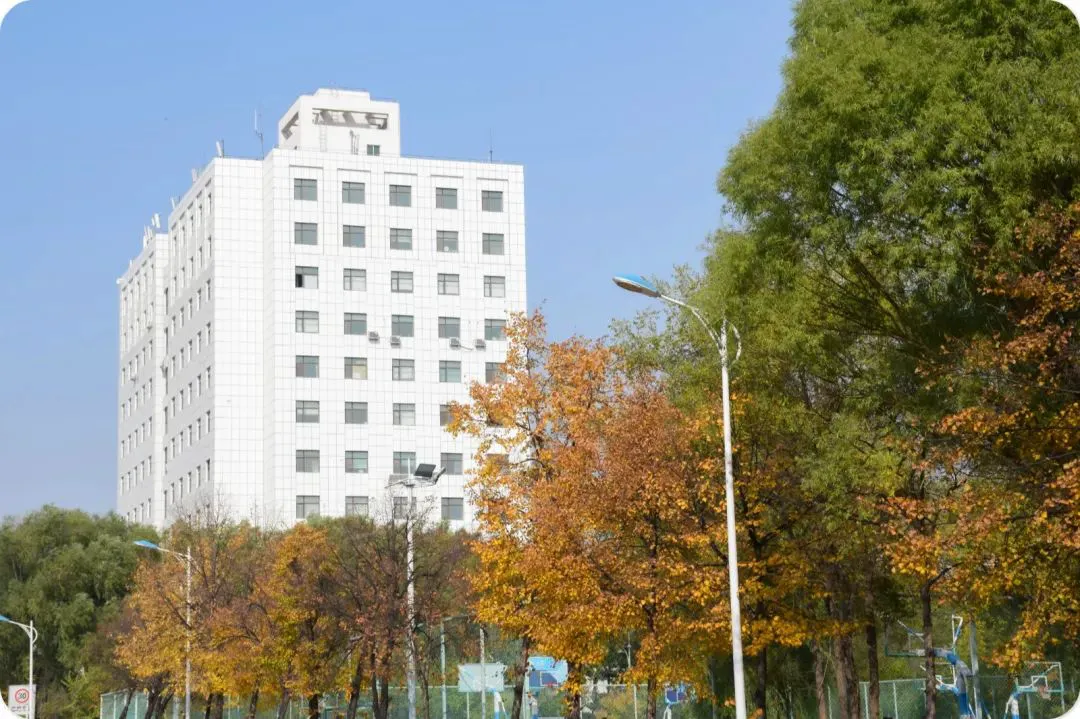 制定篮球交流计划以促进个人技能发展的方法_1